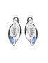 Charming silver earrings with zircons SVLE0652SH8M300