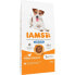 Фото #1 товара IAMS Vitality adult light in fat for overweight dogs 12 kg dog food