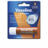 Фото #1 товара Бальзам для губ Vaseline Lip Therapy 4,8 g Питательный Масло какао