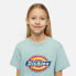 Фото #11 товара DICKIES Logo short sleeve T-shirt