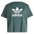 ფოტო #4 პროდუქტის ADIDAS ORIGINALS Adicolor Trefoil Boxy Plus short sleeve T-shirt