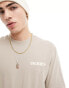 Dickies herndon back print t-shirt in sand