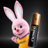 Duracell Plus 100 AAA - Single-use battery - AAA - Alkaline - 1.5 V - 8 pc(s) - Beige - Black