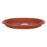 Flower Pot Dish Dem Brown