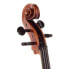 Фото #11 товара Karl Höfner H4/6-DAV-C Davidov Cello 4/4