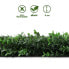 Pflanzenwand Buxus