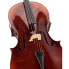 Gewa Maestro 6 Antique Cello 4/4