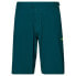 Фото #1 товара OAKLEY APPAREL Reduct Berm shorts