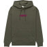 ELEMENT Cornell Cipher hoodie Зеленый, XS - фото #2