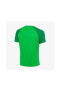 Фото #7 товара Dh9225 M Nk Df Acdpr Ss Top K T-shirt Yeşil