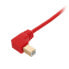 Фото #2 товара UDG Ultimate USB 2.0 Cable A1RD