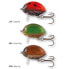 Фото #3 товара SALMO Lil Bug crankbait 2.8g