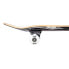 TONY HAWK SS 180 Wingspan Katehut 8.0´´ Skateboard