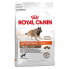 ROYAL CANIN Sporting Life Agility 4300 15kg Dog Food Разноцветный, 15kg - фото #2