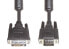 Фото #2 товара E&P DVI 4 DVI-Anschlußkabel 2.0m 15p Stecker/HD-Stecker 18+5 - Cable - Digital/Display/Video