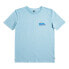 Фото #4 товара QUIKSILVER Pastime Paradise short sleeve T-shirt