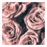 Фото #1 товара Leinwandbild Rosen Roses Vintage