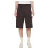 DICKIES 13´´ Multi Pocket W/ST Recycled Shorts