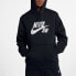 Nike SB Icon Hoodie AJ9734-010