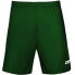 Фото #2 товара Shorts Zina Contra M 9CB8-821E8_20230203145554 dark green