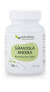 Фото #3 товара Антиоксидант Natural Medicaments Анона Гравиола (Annona muricata) 90 капсул