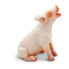 SAFARI LTD Sitting Piglet Figure