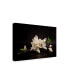 Фото #2 товара Tony08 Magnolia Whites in the Dark Canvas Art - 37" x 49"