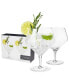 Фото #8 товара Raye Angled Gin & Tonic Crystal Glasses, Set of 2, 14 Oz