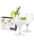 Raye Angled Gin & Tonic Crystal Glasses, Set of 2, 14 Oz