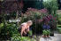 Фото #10 товара Бур садовый Fiskars 134720 15 см - 110 см 2,3 кг