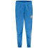 Фото #1 товара PUMA Manchester City 23/24 Prematch Pants