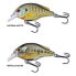 Фото #3 товара LIVE TARGET Bluegill Flat-Side Squarebill Floating crankbait 7g 60 mm