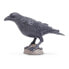 Фото #3 товара SAFARI LTD Raven Figure