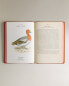 Фото #4 товара Atlas de poche des oiseaux de france sér. 2 book