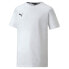 PUMA Teamgoal 23 Casuals short sleeve T-shirt