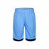 Фото #1 товара Спортивные шорты для мальчиков Nike Dry Fit Trophy Синий Чёрный