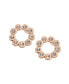 ფოტო #1 პროდუქტის Women's Crystal Stud Earrings