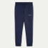 Фото #3 товара HACKETT Am Hybrid joggers