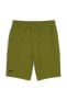 RAD/CAL Shorts Yeşil Erkek Şort