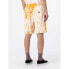 Фото #4 товара DICKIES Seatac Shorts