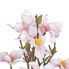 Фото #3 товара букет Зеленый Розовый 37 x 20 x 41 cm Magnolia