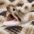 Фото #3 товара SAFARI LTD Eastern Diamondback Rattlesnake Figure