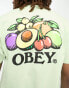 Фото #3 товара Obey bowl of fruit backprint t-shirt in green