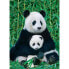 Фото #3 товара Puzzle Die Panda Familie 1000 Teile