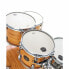 Фото #6 товара Mapex Armory Studio Shell Set DW