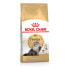 Фото #1 товара ROYAL CANIN Persian Poultry Rice Vegetable Adult 10kg Cat Food