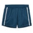Фото #1 товара PUMA Individualblaze sweat shorts