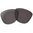 ფოტო #1 პროდუქტის OAKLEY Frogskins Prizm Gray Lens