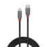 Фото #2 товара USB-кабель LINDY 36892 Чёрный Черный/Серый 2 m