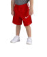 ფოტო #6 პროდუქტის Toddler Boys Dri-FIT Elite Shorts